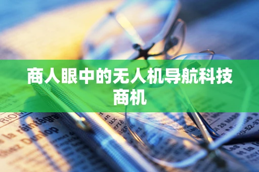 商人眼中的无人机导航科技商机