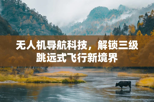 无人机导航科技，解锁三级跳远式飞行新境界