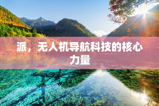 派，无人机导航科技的核心力量