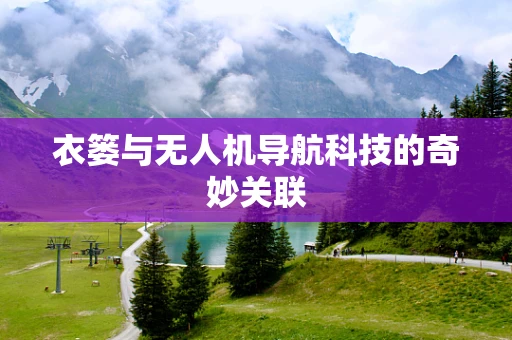 衣篓与无人机导航科技的奇妙关联