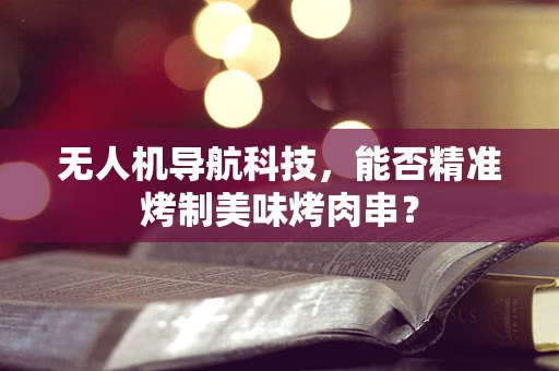 无人机导航科技，能否精准烤制美味烤肉串？
