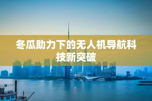 冬瓜助力下的无人机导航科技新突破