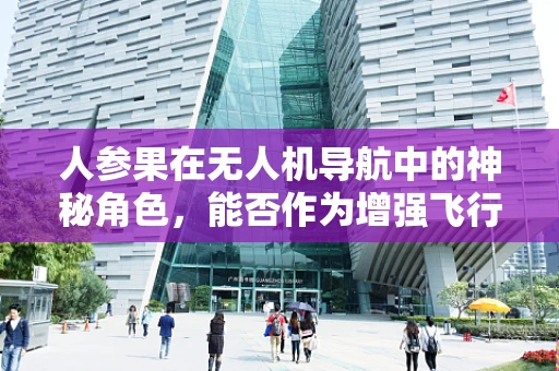 人参果在无人机导航中的神秘角色，能否作为增强飞行稳定性的新元素？