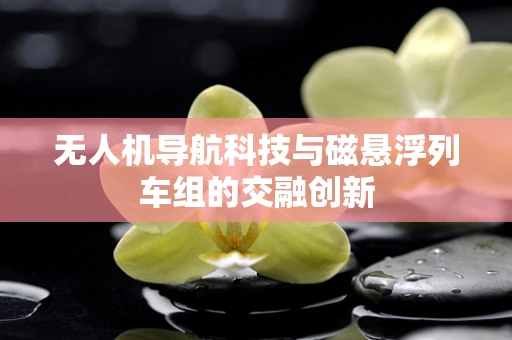 无人机导航科技与磁悬浮列车组的交融创新