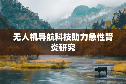 无人机导航科技助力急性肾炎研究