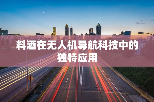 料酒在无人机导航科技中的独特应用
