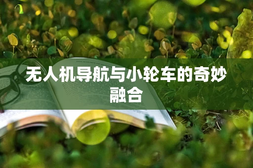 无人机导航与小轮车的奇妙融合