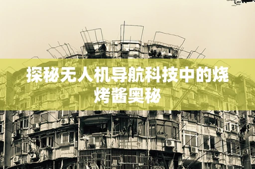 探秘无人机导航科技中的烧烤酱奥秘