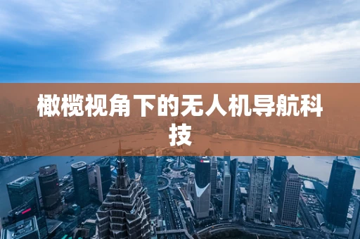 橄榄视角下的无人机导航科技