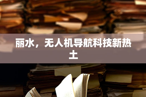 丽水，无人机导航科技新热土