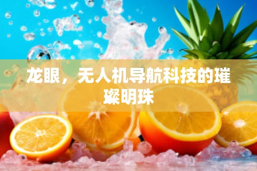 龙眼，无人机导航科技的璀璨明珠