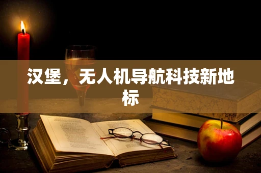 汉堡，无人机导航科技新地标