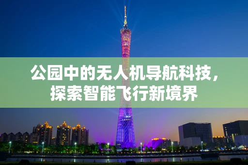 公园中的无人机导航科技，探索智能飞行新境界