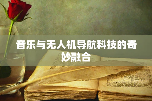 音乐与无人机导航科技的奇妙融合