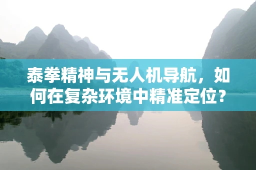 泰拳精神与无人机导航，如何在复杂环境中精准定位？
