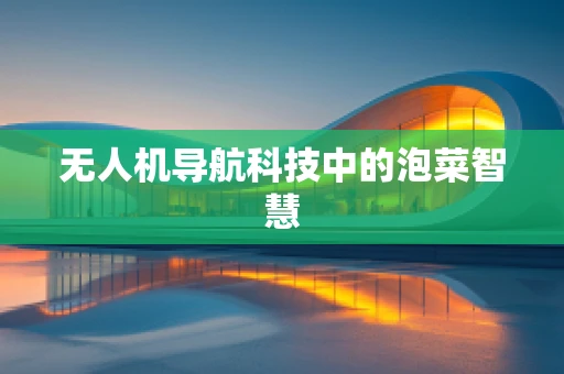 无人机导航科技中的泡菜智慧