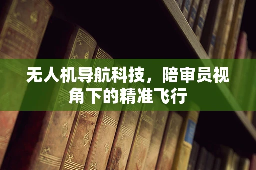 无人机导航科技，陪审员视角下的精准飞行