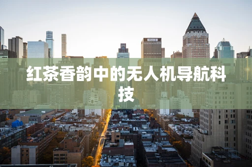 红茶香韵中的无人机导航科技