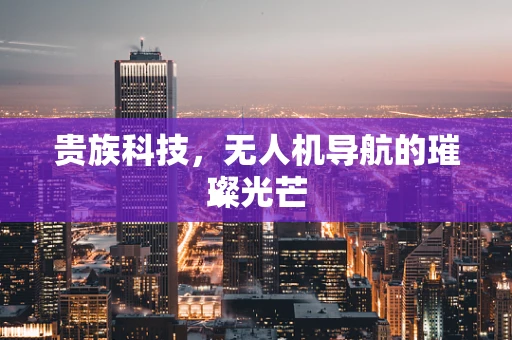 贵族科技，无人机导航的璀璨光芒