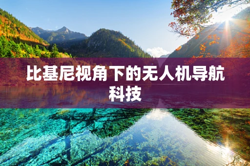 比基尼视角下的无人机导航科技
