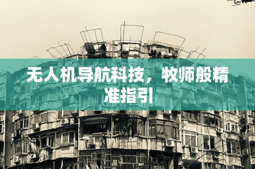 无人机导航科技，牧师般精准指引