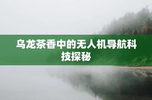 乌龙茶香中的无人机导航科技探秘
