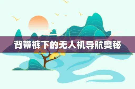 背带裤下的无人机导航奥秘
