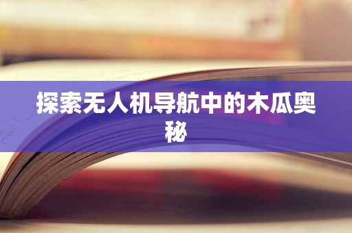 探索无人机导航中的木瓜奥秘