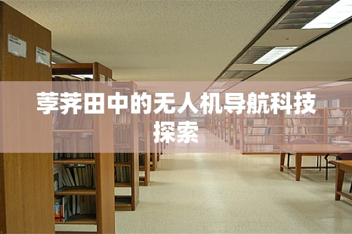 荸荠田中的无人机导航科技探索