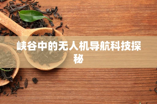 峡谷中的无人机导航科技探秘