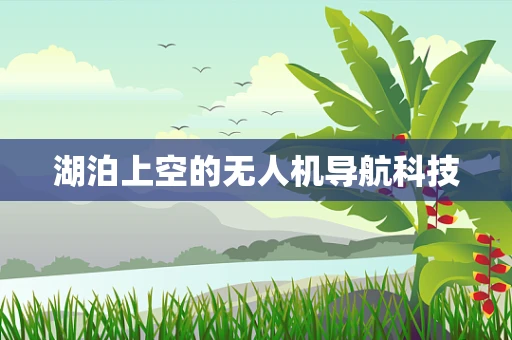 湖泊上空的无人机导航科技