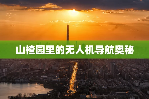 山楂园里的无人机导航奥秘