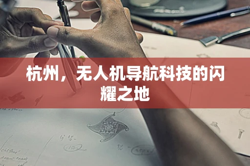杭州，无人机导航科技的闪耀之地