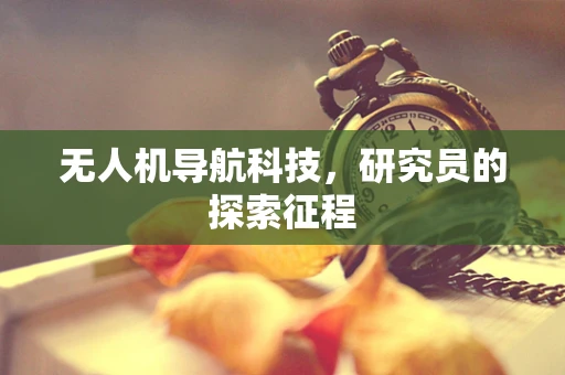 无人机导航科技，研究员的探索征程