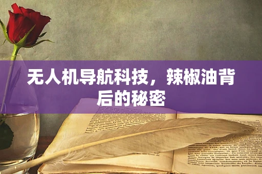 无人机导航科技，辣椒油背后的秘密