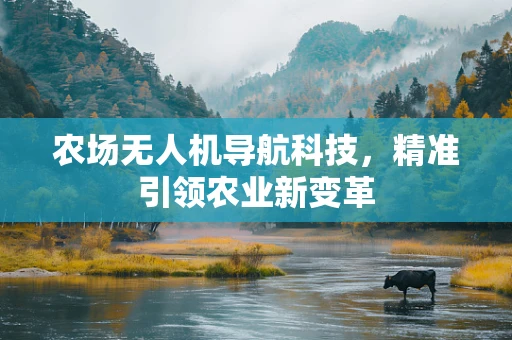 农场无人机导航科技，精准引领农业新变革