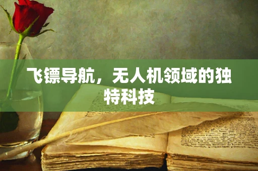飞镖导航，无人机领域的独特科技