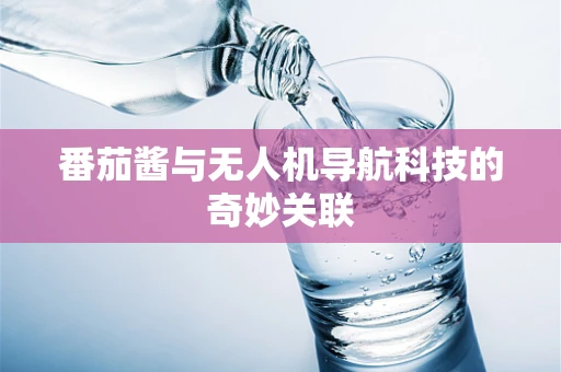 番茄酱与无人机导航科技的奇妙关联