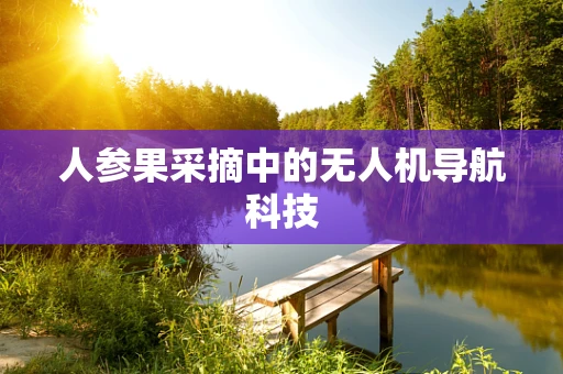 人参果采摘中的无人机导航科技
