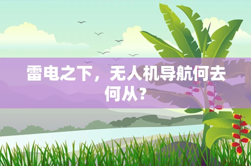 雷电之下，无人机导航何去何从？