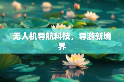 无人机导航科技，导游新境界