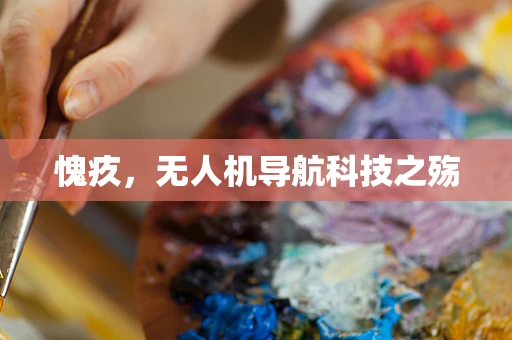 愧疚，无人机导航科技之殇