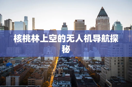 核桃林上空的无人机导航探秘