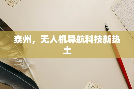 泰州，无人机导航科技新热土