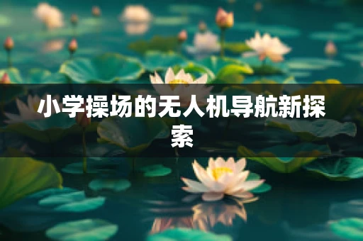 小学操场的无人机导航新探索