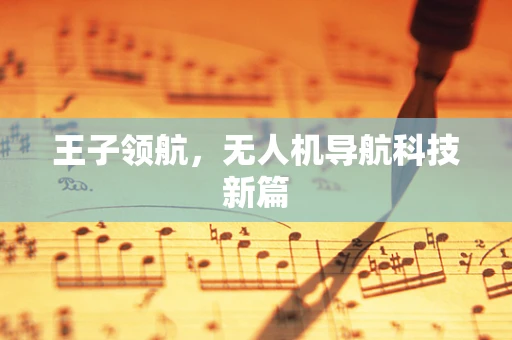 王子领航，无人机导航科技新篇