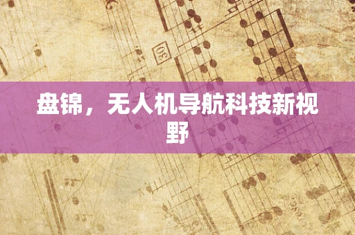 盘锦，无人机导航科技新视野