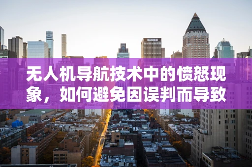 无人机导航技术中的愤怒现象，如何避免因误判而导致的飞行事故？