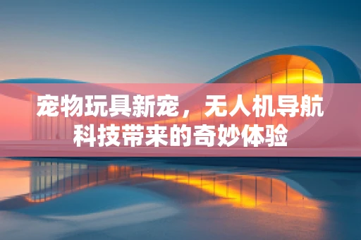 宠物玩具新宠，无人机导航科技带来的奇妙体验