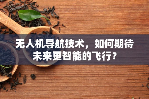 无人机导航技术，如何期待未来更智能的飞行？